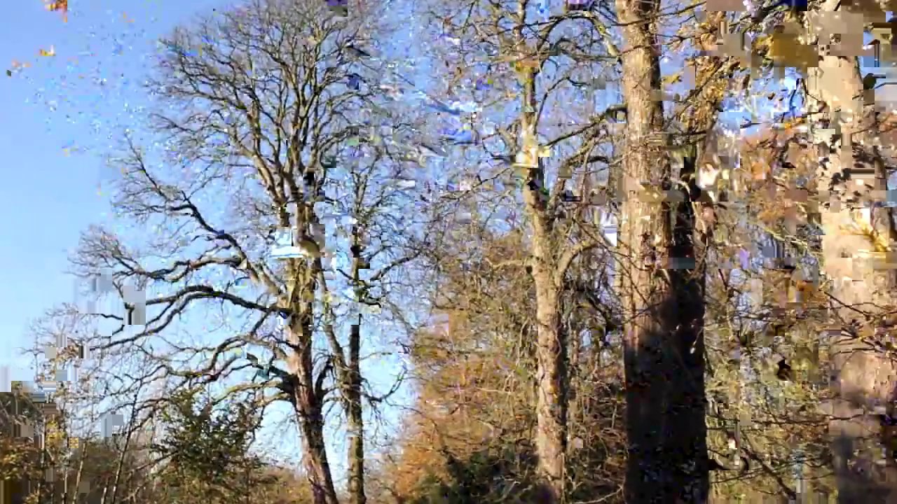 Haseldorf November 2013 /Full Film/Ganzer Film/Complete Movie