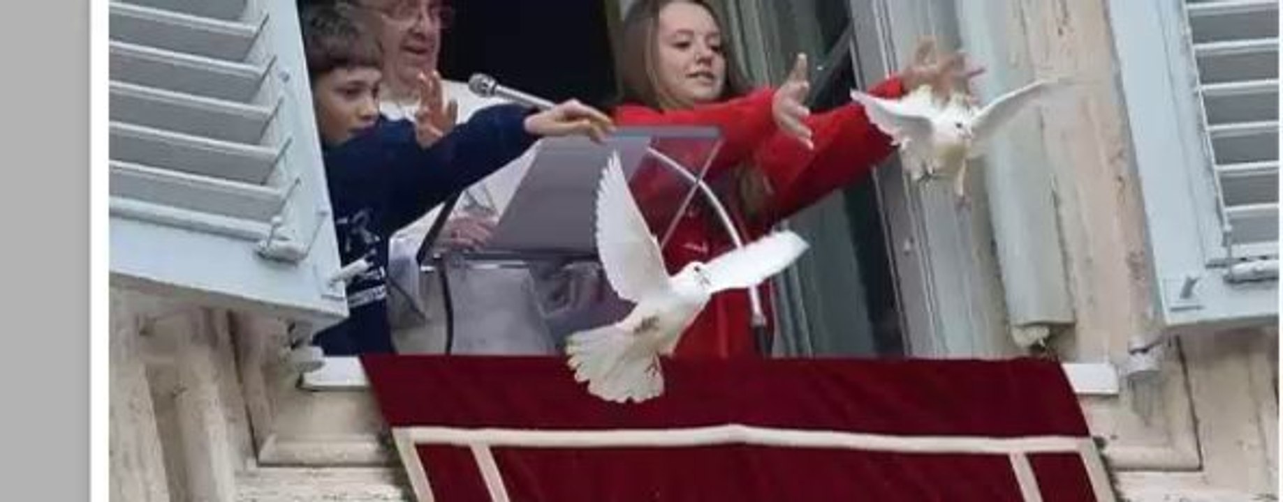 Lâchées pour la paix en Ukraine, deux colombes se font attaquer par un corbeau et un goéland