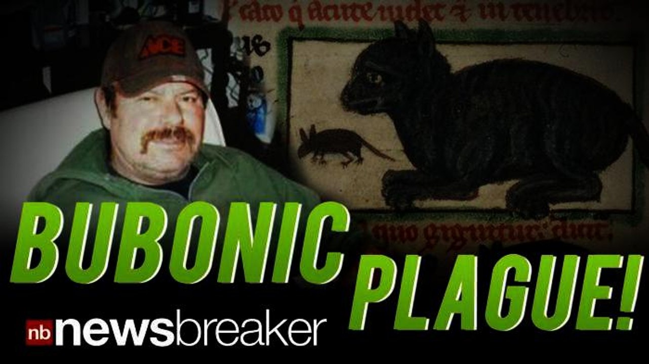 BUBONIC PLAGUE: Man Miraculously Recovers After Contracting Life-Threatening Illness from his Cat