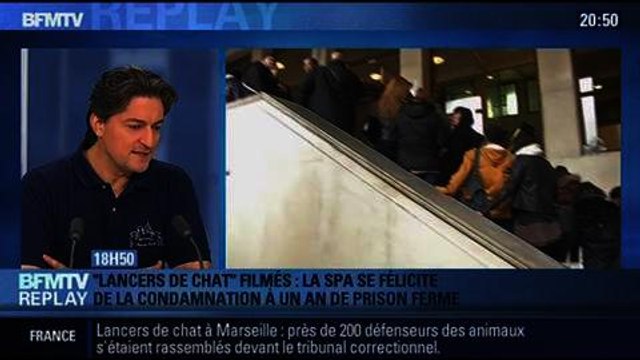 BFMTV Replay: Le lanceur de chat condamné à un an de prison ferme - 03/02