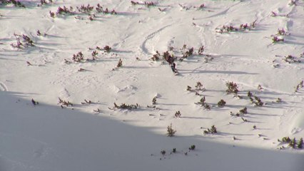 JFT Fieberbrunn - Csongor Armin Szasz Bib 10