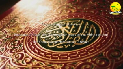 Islam_ Aux athées_Pourquoi il y a autant de mal sur terre !