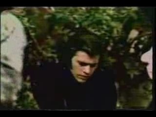 The Seeds - Mr Farmer