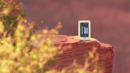 RTW TouchMonitor TM3 in the sandy desert near Las Vegas, USA.