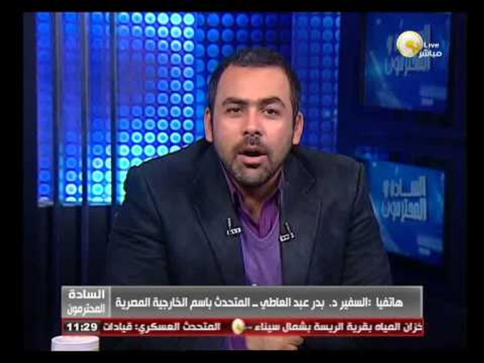 السادة المحترمون: الخارجية المصرية تنتهي من كافة الإجراءات الخاصة بعملية الاستفتاء في الخارج