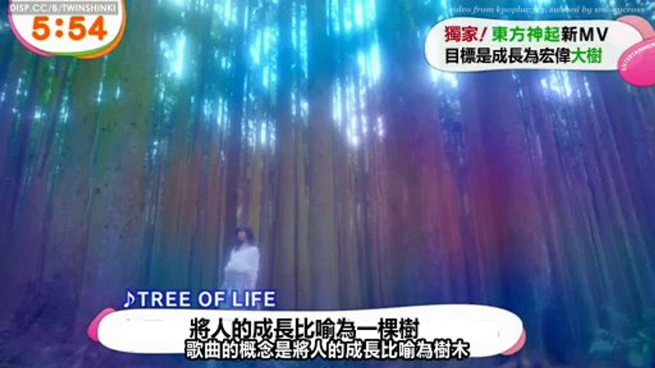[TWINSHINKI中字] 140204 東方神起 TREE OF LIFE MV @ MEZAMASHI