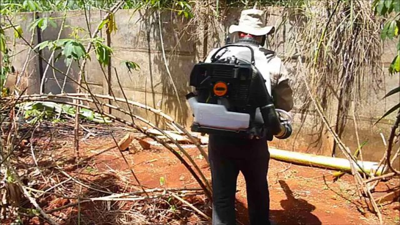 TRABALHO CONTRA DENGUE