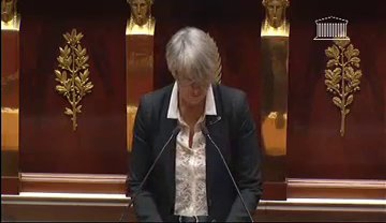 Véronique Massonneau - Explication de vote Loi égalité femmes-hommes