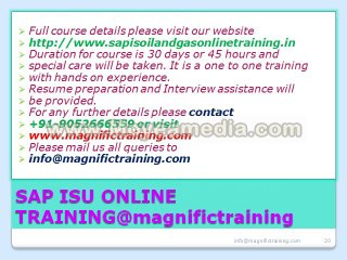 sap is utilities online training
