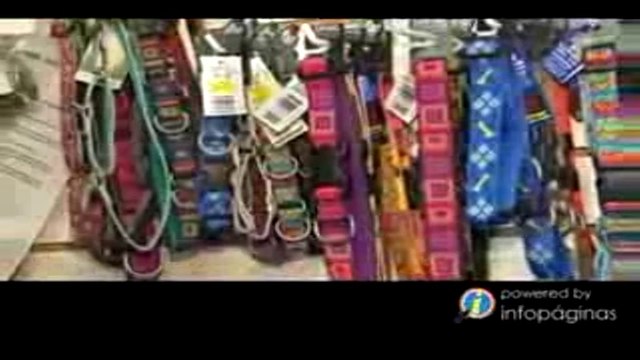 Clínica Veterinaria Caguas Norte / Hospital Veterinario Caguas