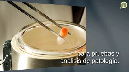 Northwest Pathology Lab / Laboratorio de Patología Manatí