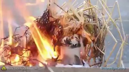 5 Ways to Start a Fire, Using Water | www.itblow.com