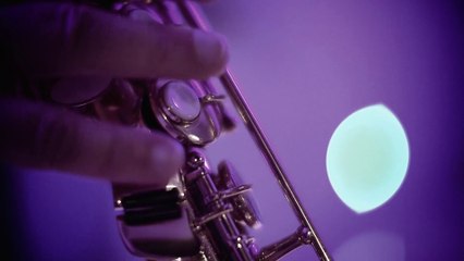 Bruno Krajcar i Davor Radolfi - Ura