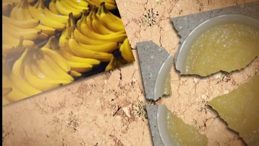 How Many Carbs In A Banana videos - Dailymotion