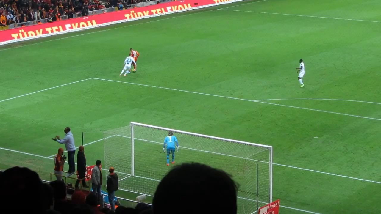 Wesley Sneijder Pass