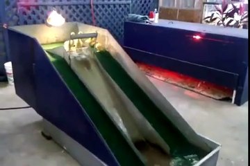 Baby ducks riding on a little water slide! | www.itblow.com