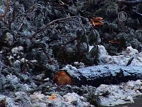 Словения частично осталась без света из-за дождя