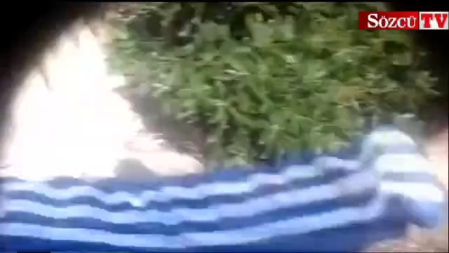 Dünyayı ayağa kaldıran görüntüler