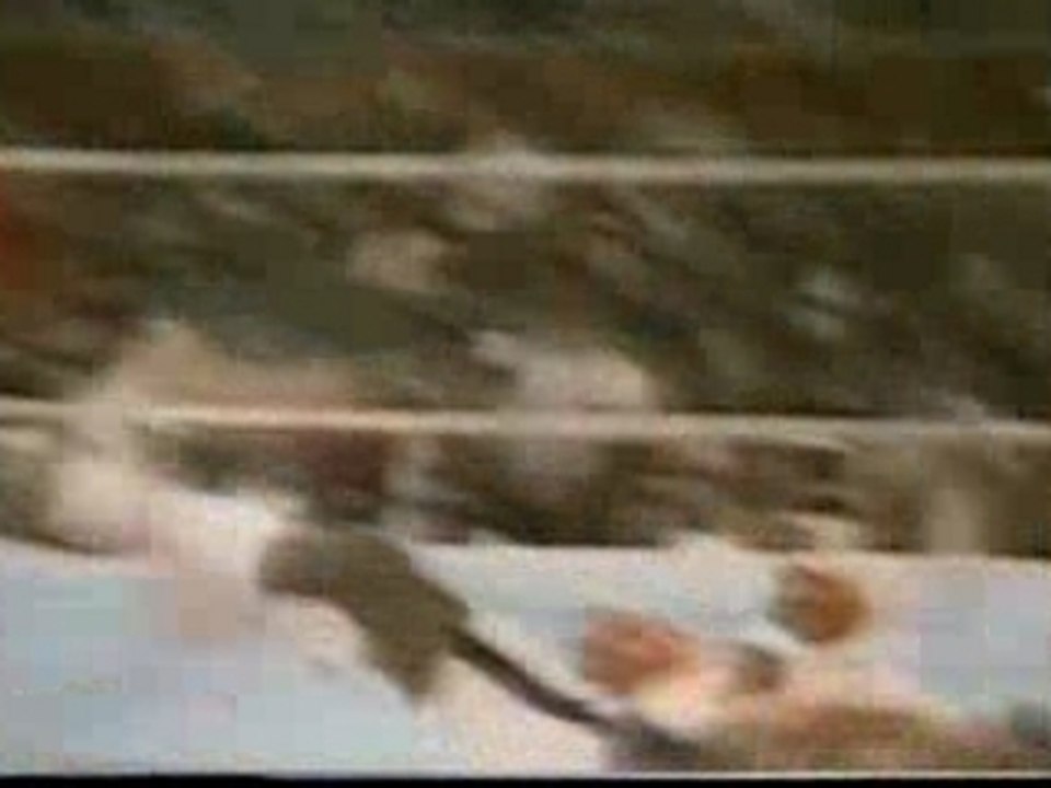 faces of death - Mike Tyson