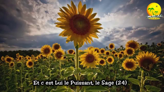 C’est Lui Allah !. Excellente récitation par une enfant musulmane. Fin de sourate Al-Hashr (l’ Exode). Verset. 20-24