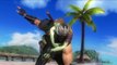 Dead or Alive 5 Ultimate (PS3) - bikini trailer