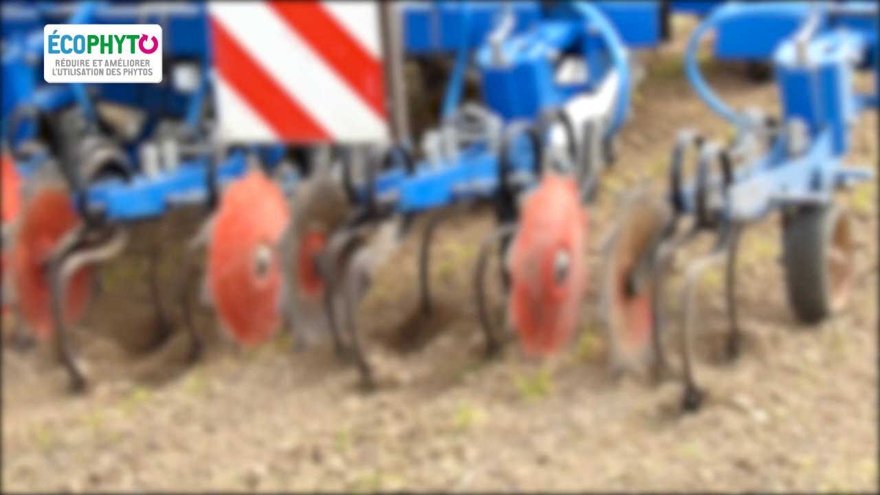 moins_de_phyto, le_dephy_des_agriculteurs_du_nord_pas_de_calais