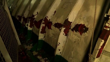 Collision d'un navire de Sea Shepherd avec un baleinier japonais