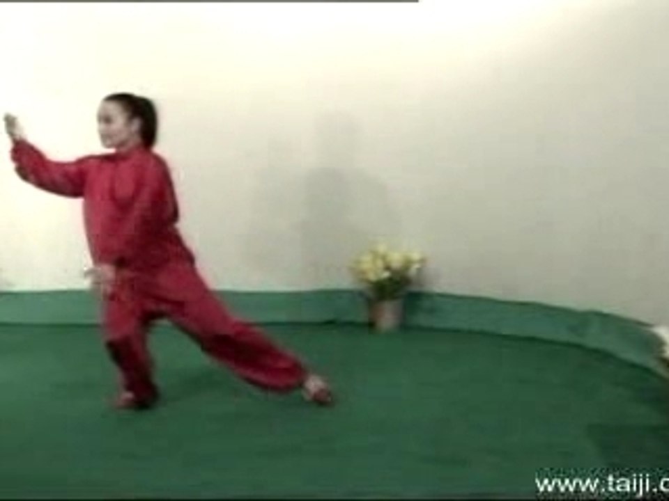 Tai-Chi - 48-Form