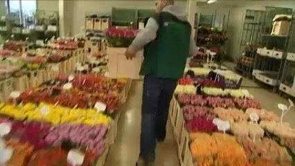 Une rose sur trois serait issue de la contrefaçon en France