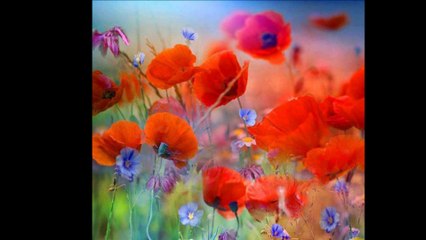 Δημήτρης Παναγόπουλος ‒ Aura: «Little Rain Falling» (J. Reed).