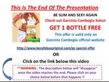 Pure Garcinia Cambogia - Effective Garcinia Cambogia -What To Look For