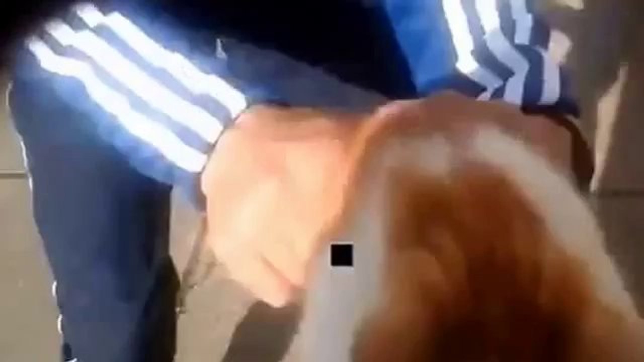 MAN THROWS CAT IN AIR