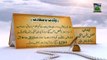 Documentary in Urdu - Hazrat Shah Fazl e Rahman Hanafi - 22 Rabi ul Awwal