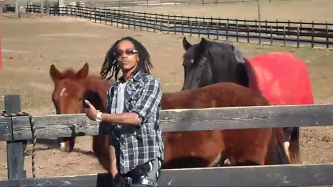 ORION'S BELT VIDEO ( OFFICIAL) BUCHA  Vary Rare!