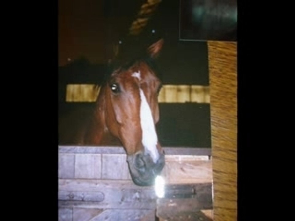 LOULOU