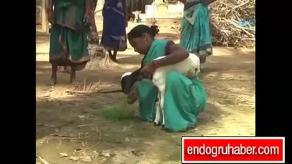 İki ayaklı kuzu hayrete düşürdü!..