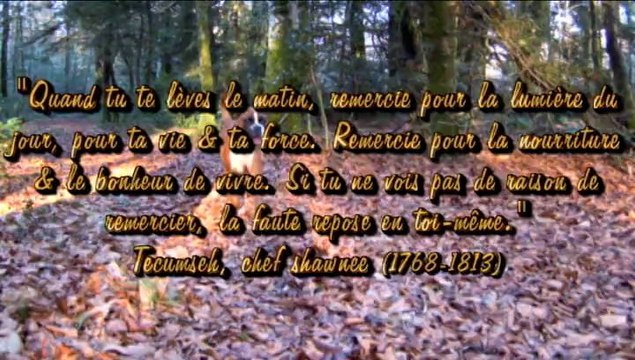 Geisha des Steppes Perdues (CHEYENNE de SAINT QUINIS X UCELLO du DOLON / Portée des G 2011) & Iowa du Ranch de la Rivière Espérance, 2014-02-04