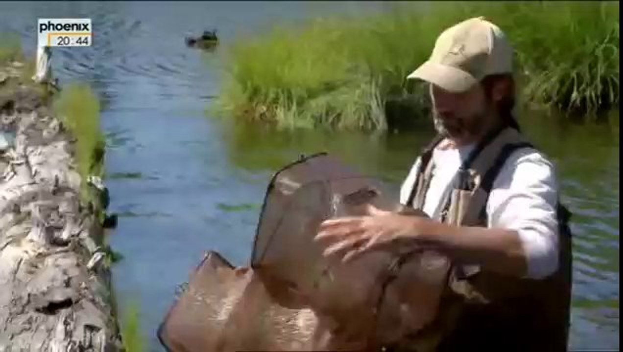 Mount St Helens - Der Vulkan lebt
