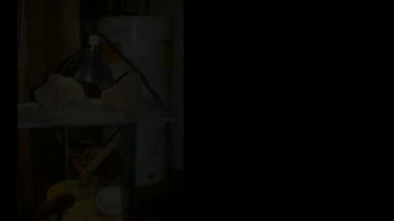 Home Inspection Atlanta | Discovery Inspections, LLC