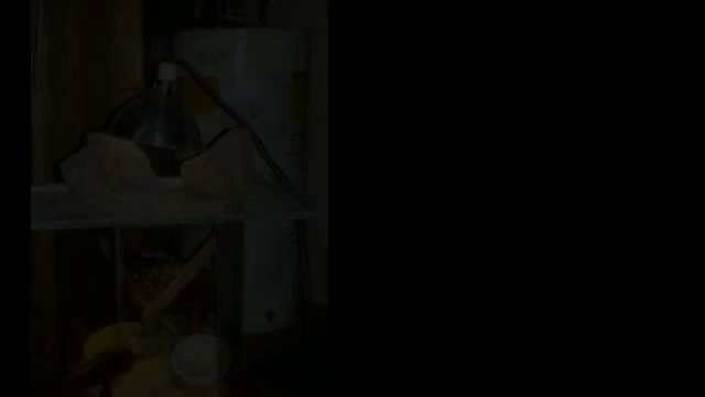 Home Inspection Atlanta | Discovery Inspections, LLC