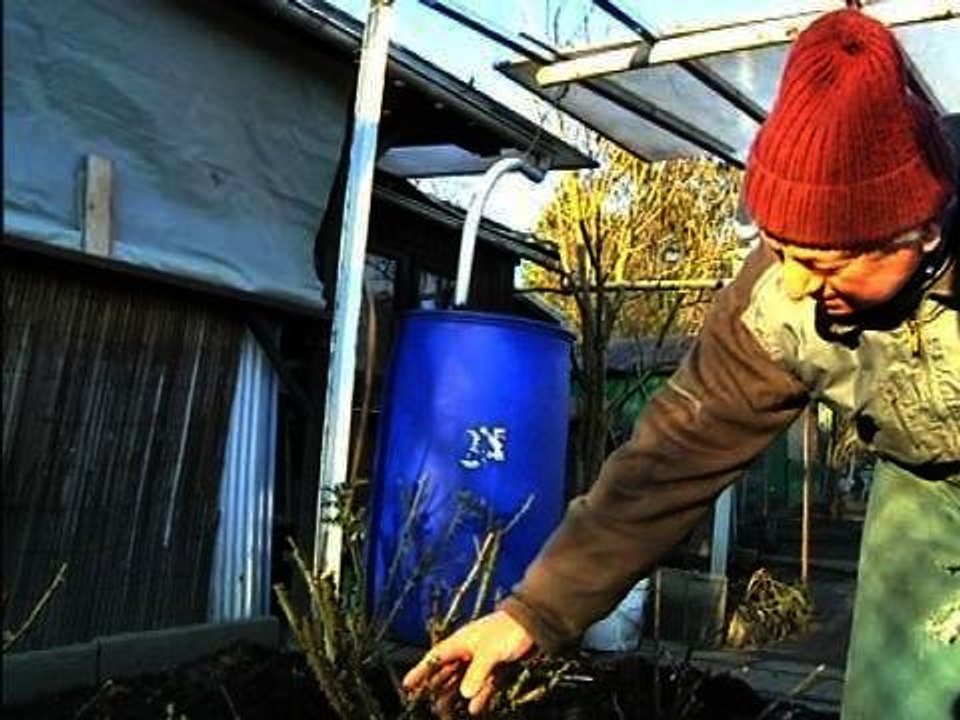 Un mois de janvier qui bat des records de douceur – 04/02