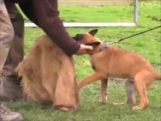 I am the Legend du Dragon Rouge de Jupiter