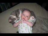 Funny Cats Protecting Babies Videos