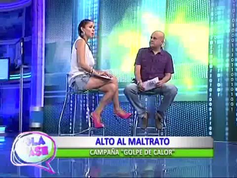 Alto al Maltrato: ¿Por qué el golpe de calor es mortal en las mascotas?