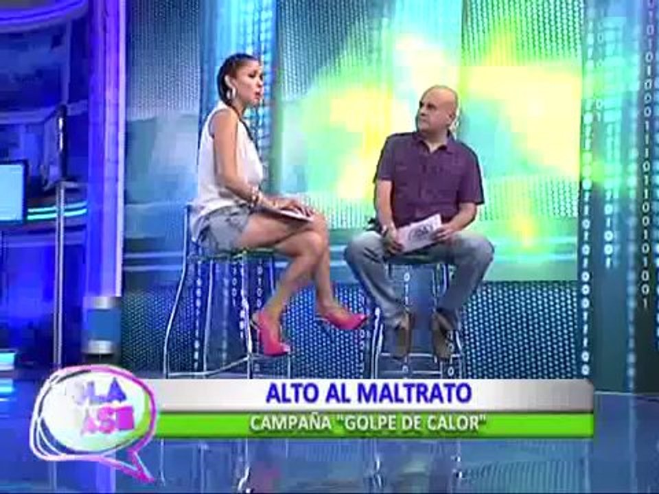 Alto al Maltrato: ¿Por qué el golpe de calor es mortal en las mascotas?