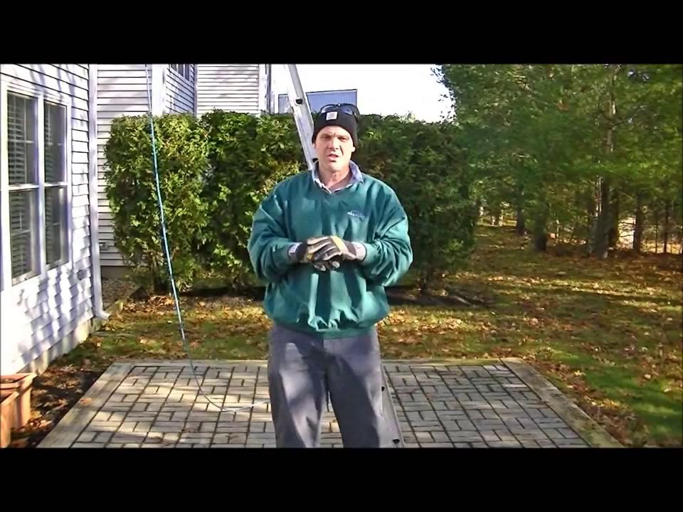 How We Do Squirrel Exclusion & Trapping In MA