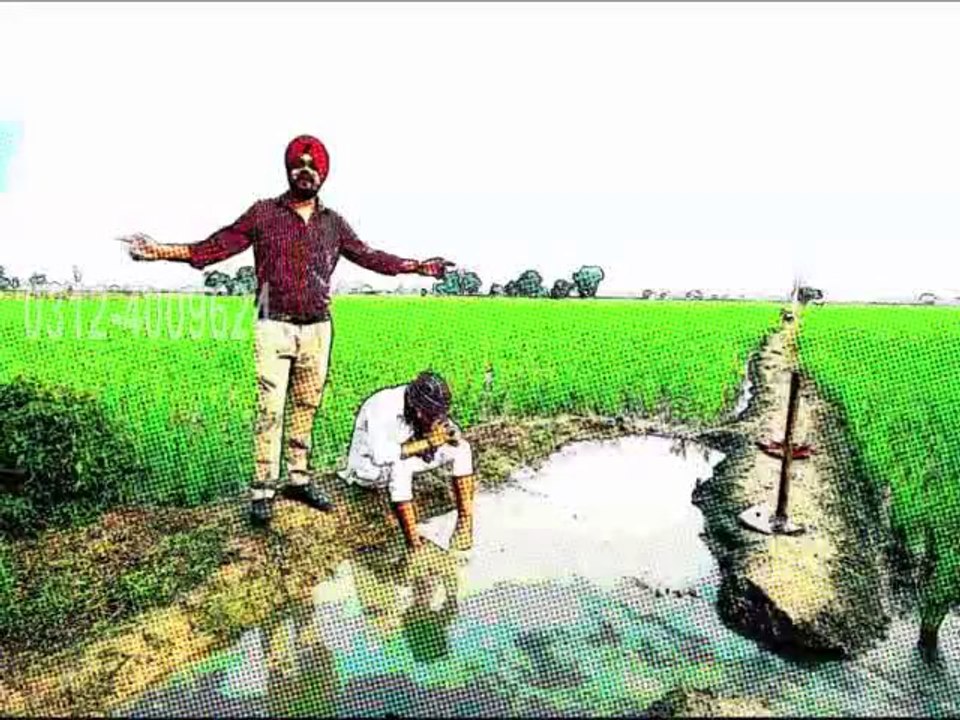 Jahli Pyar