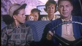 Vintage Car Safety Film_ Anatomy of an Accident (1960s)