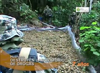 Télécharger la video: En Huánuco, agentes especializados destruyen un laboratorio clandestino de drogas e insumos químicos en el sector el Porvenir