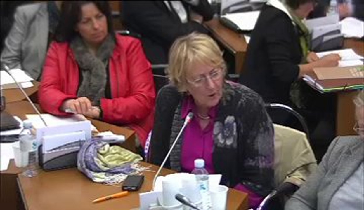 Audition de M. Emmanuel Berthier et M. Michel Ruffin, sur la démarche de prospective Territoires 2040 - Mardi 13 Novembre 2012